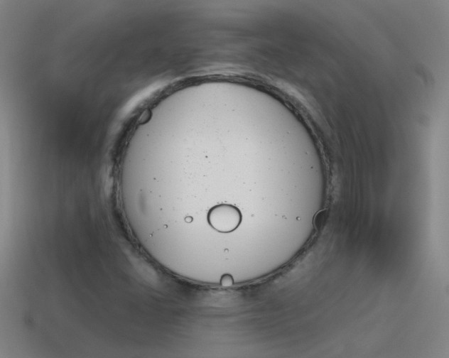 X0000115641406200911101046