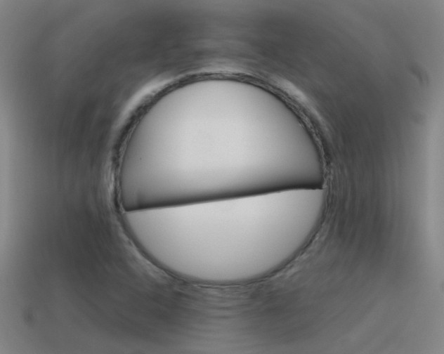 X0000115641408200911101046