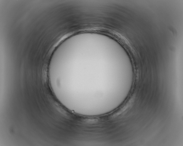 X0000115641409200911101046