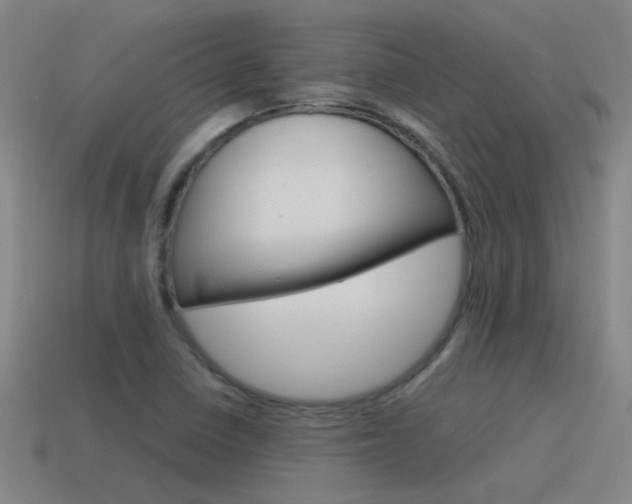 X0000115641410200911101046
