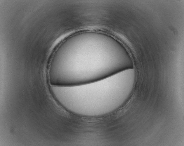 X0000115641412200911101046