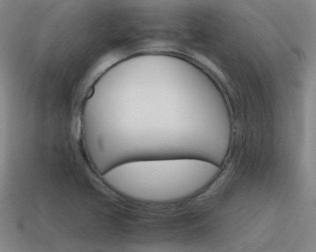 X0000115641413200911101046