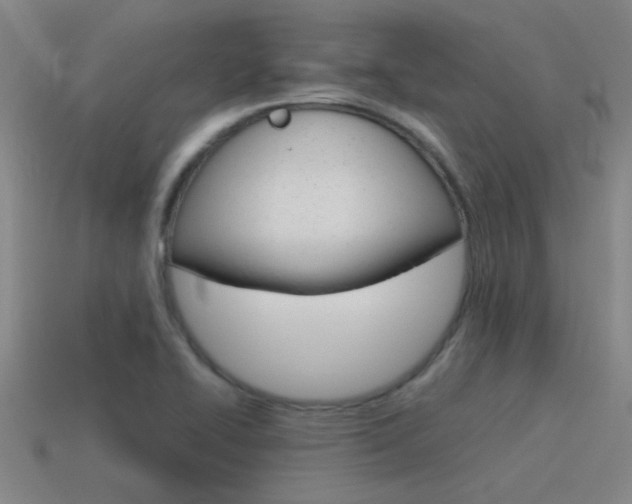 X0000115641414200911101046