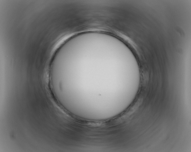 X0000115641415200911101046