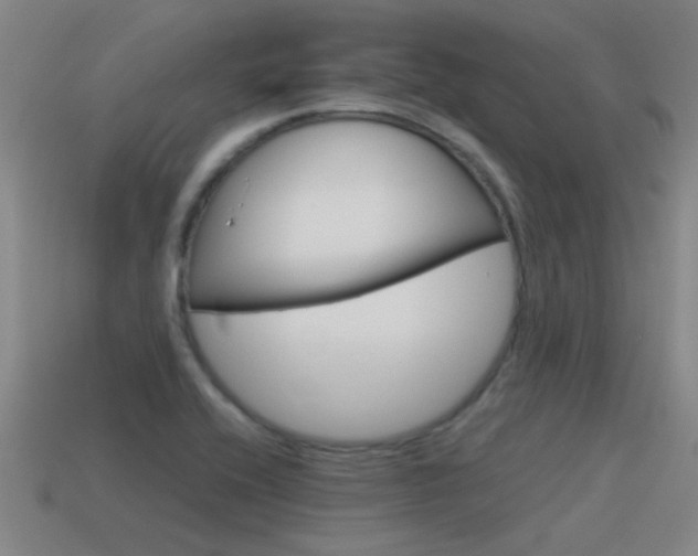 X0000115641416200911101046
