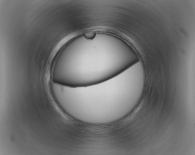 X0000115641418200911101046