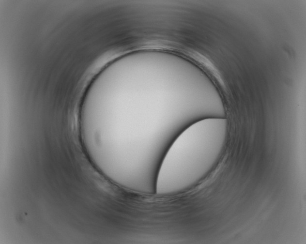 X0000115641419200911101046
