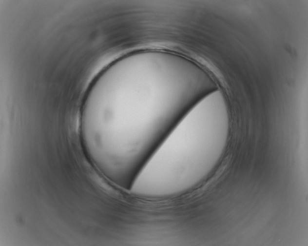 X0000115641420200911101046