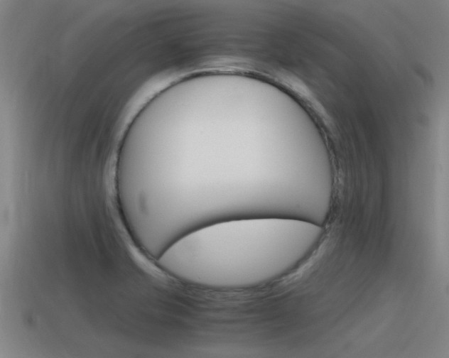 X0000115641421200911101046