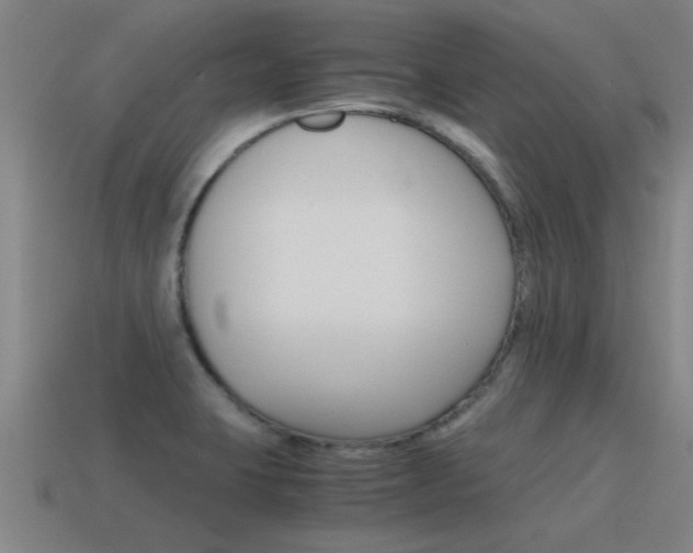 X0000115641423200911101046
