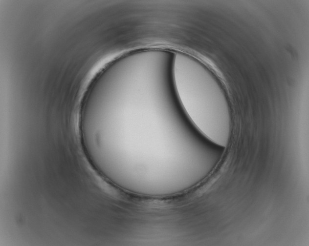 X0000115641424200911101046