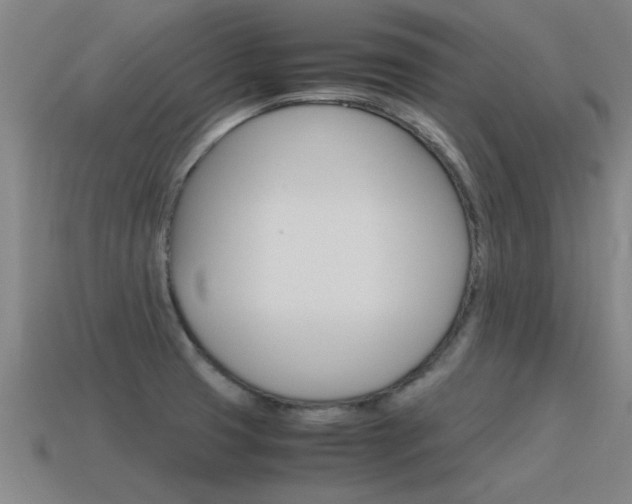 X0000115641425200911101046