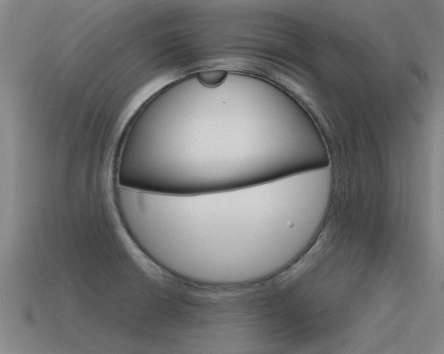 X0000115641426200911101046