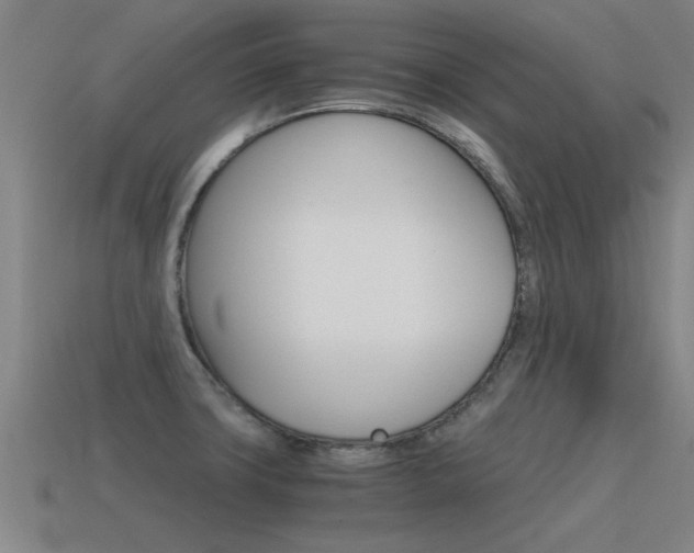 X0000115641427200911101046
