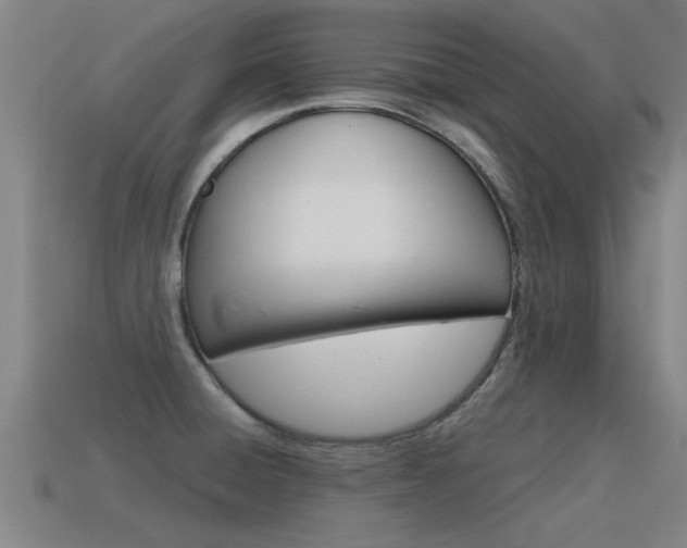 X0000115641428200911101046