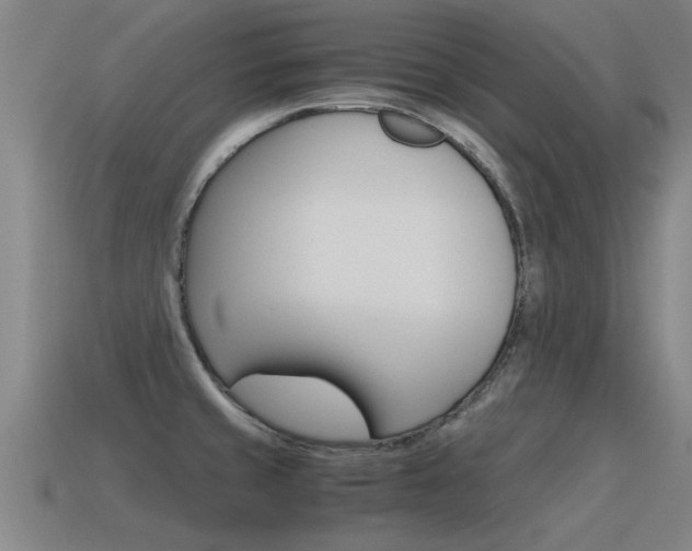 X0000115641429200911101046