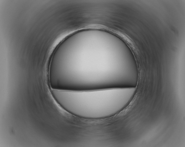 X0000115641430200911101046