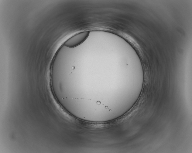 X0000115641431200911101046