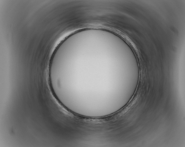 X0000115641432200911101046