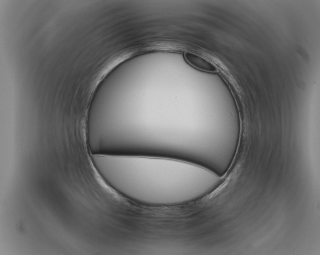 X0000115641433200911101046