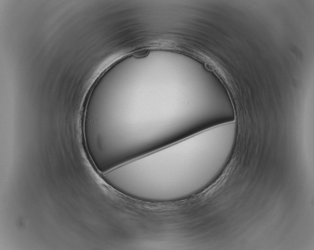 X0000115641434200911101046