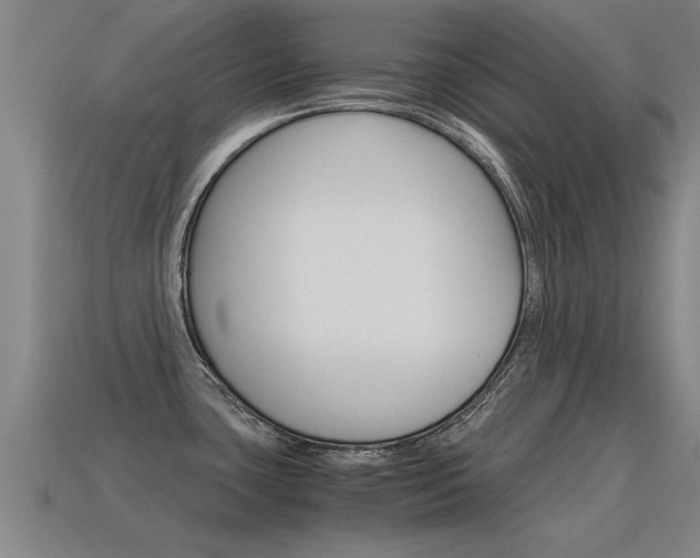 X0000115641435200911101046