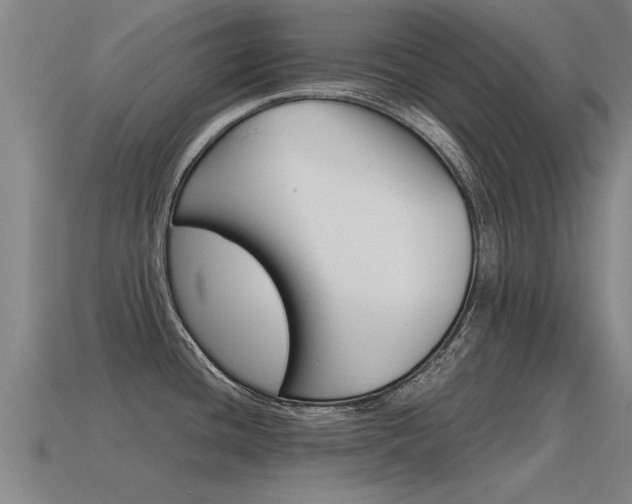 X0000115641436200911101046