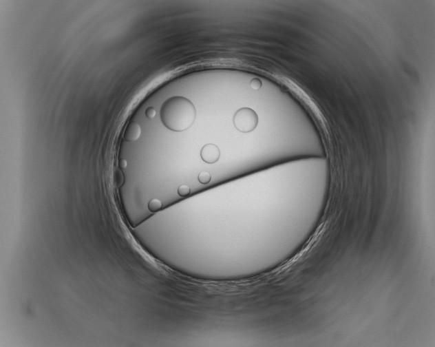 X0000115641437200911101046