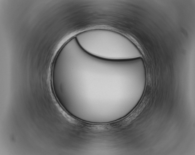 X0000115641438200911101046