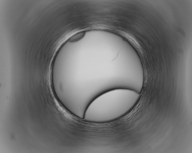 X0000115641439200911101046