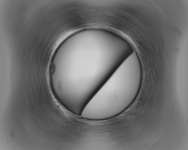 X0000115641440200911101046