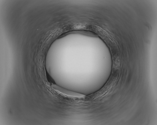 X0000115641441200911101046