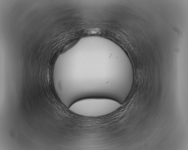 X0000115641442200911101046
