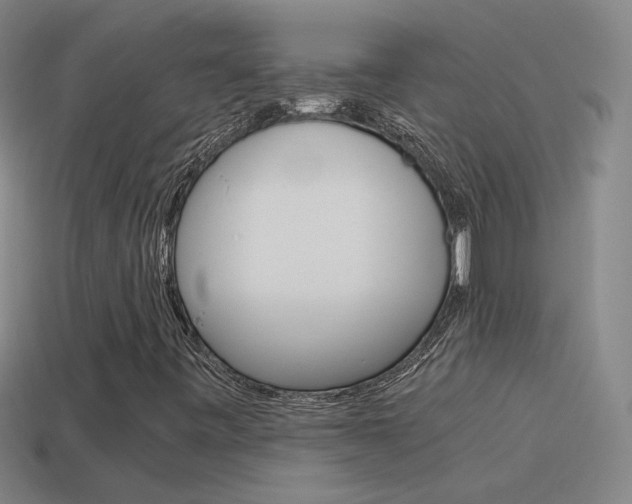 X0000115641443200911101046