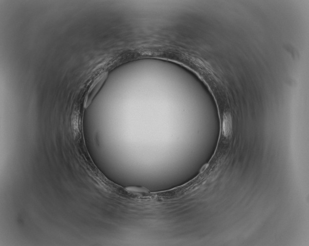 X0000115641444200911101046