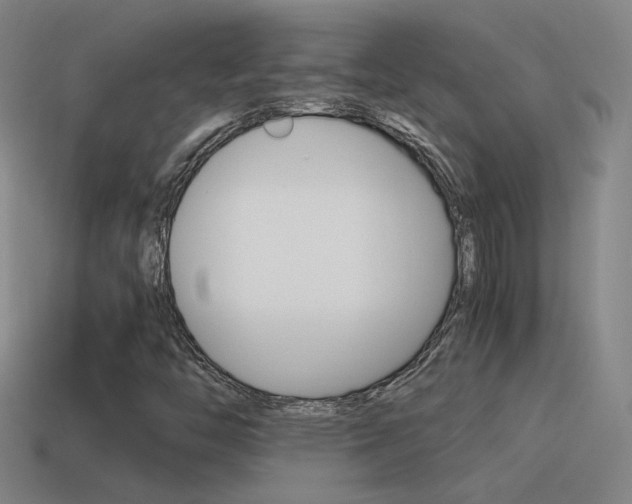 X0000115641446200911101046