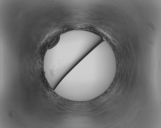 X0000115641447200911101046