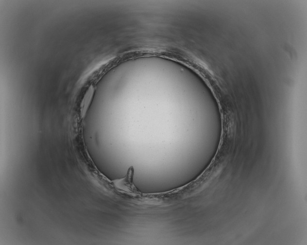 X0000115641448200911101046