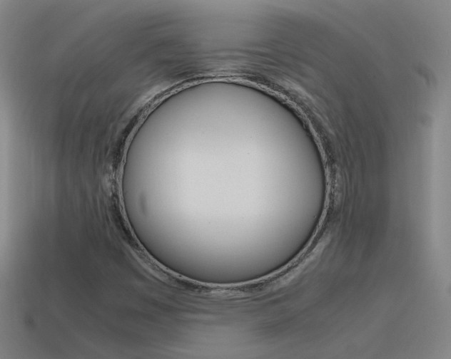 X0000115641449200911101046