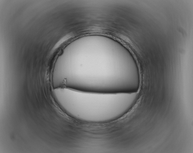 X0000115641450200911101046