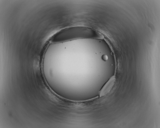 X0000115641452200911101046