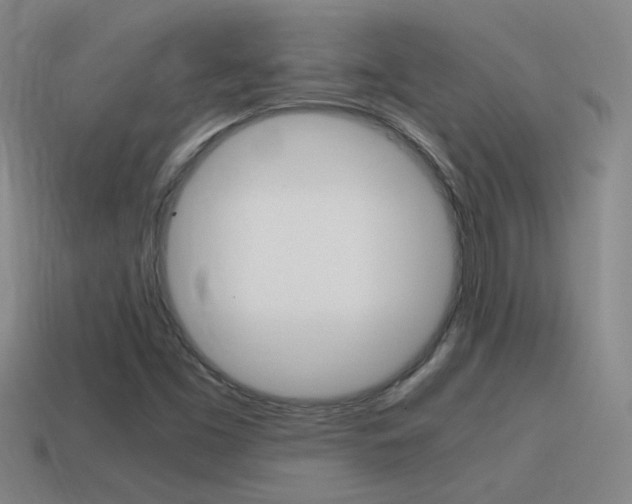 X0000115641453200911101046
