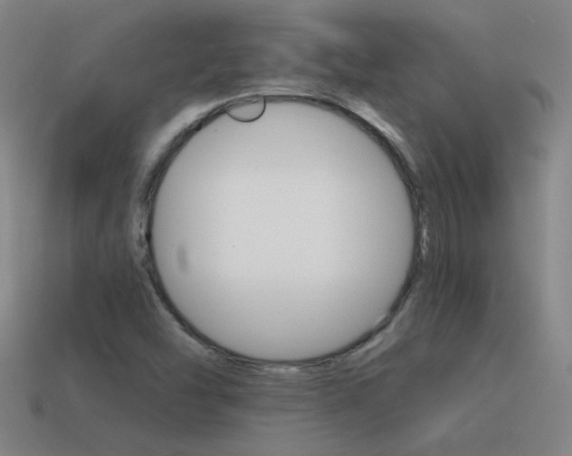 X0000115641454200911101046