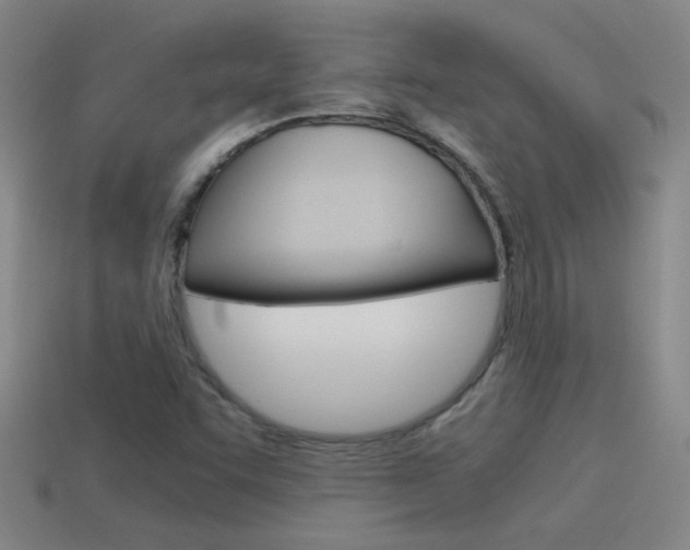 X0000115641455200911101046