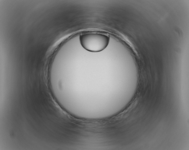 X0000115641456200911101046