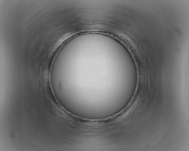 X0000115641457200911101046