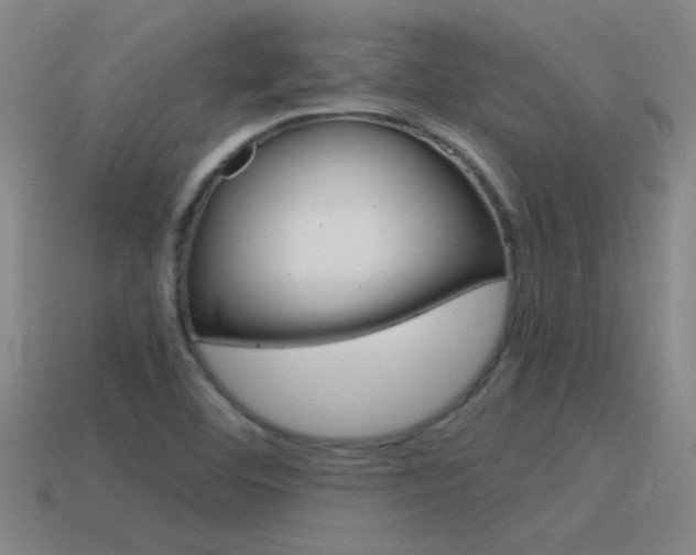 X0000115641460200911101046