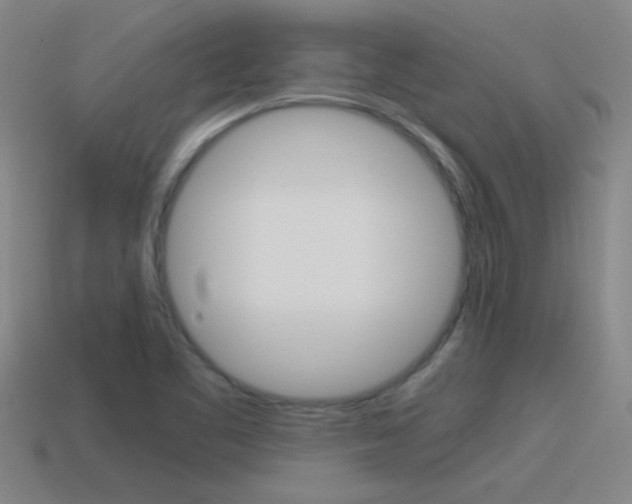 X0000115641461200911101046