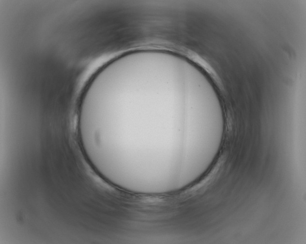 X0000115641462200911101046