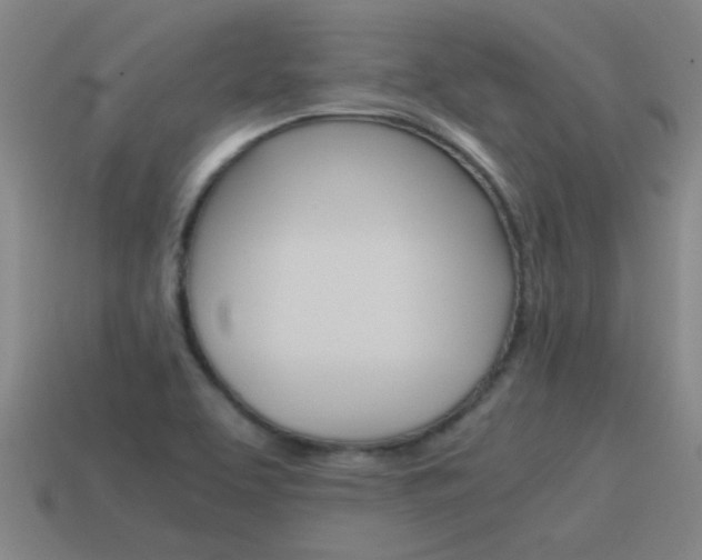 X0000115641463200911101046